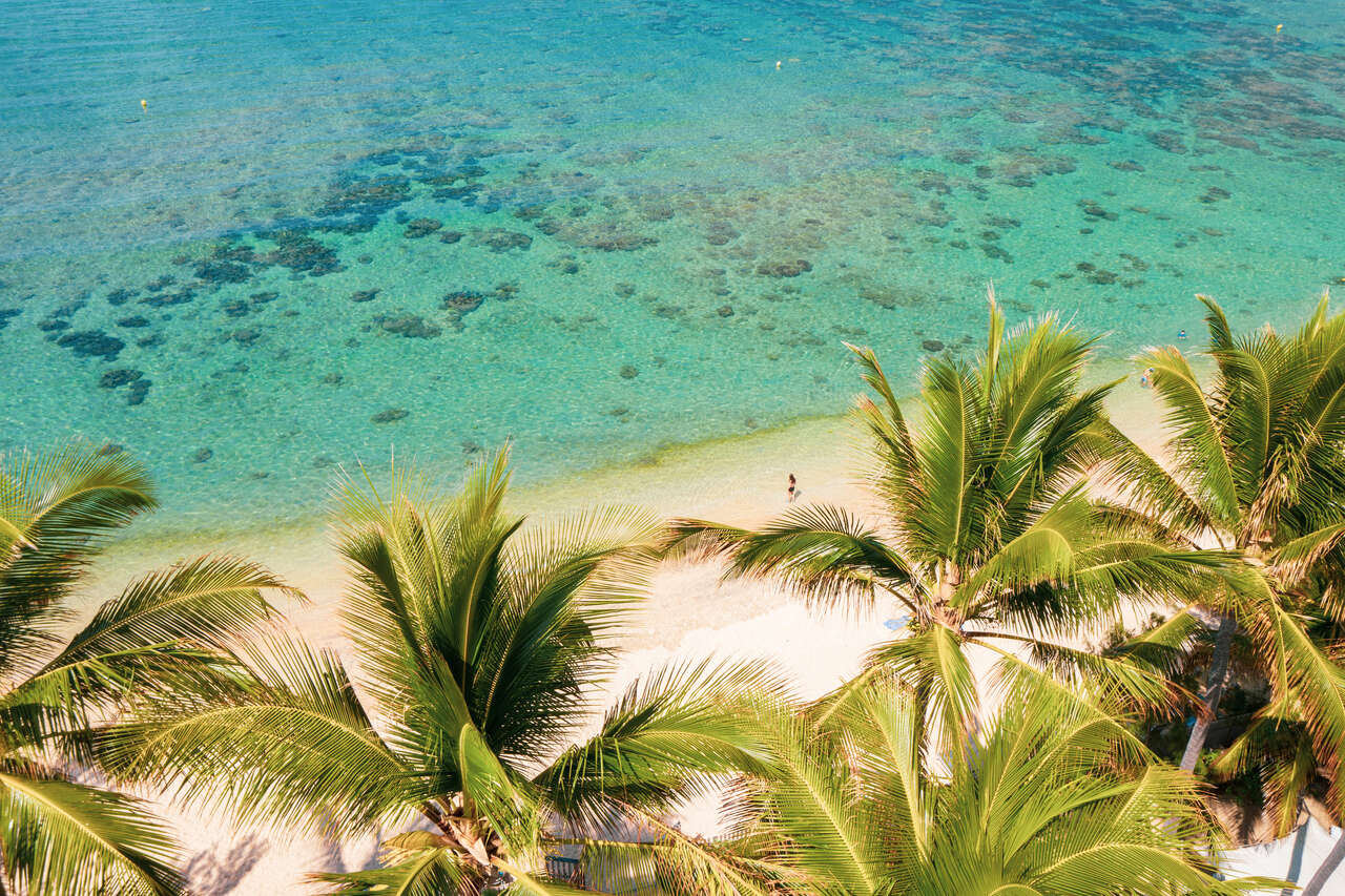 Lagon turquoise et plage bordée de palmiers à La Réunion vue aérienne