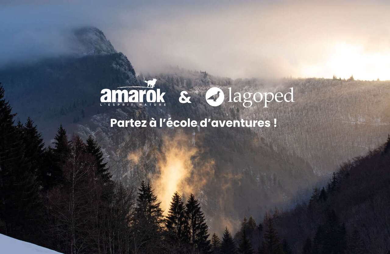 Lumière sur un paysage enneigé du Vercors
