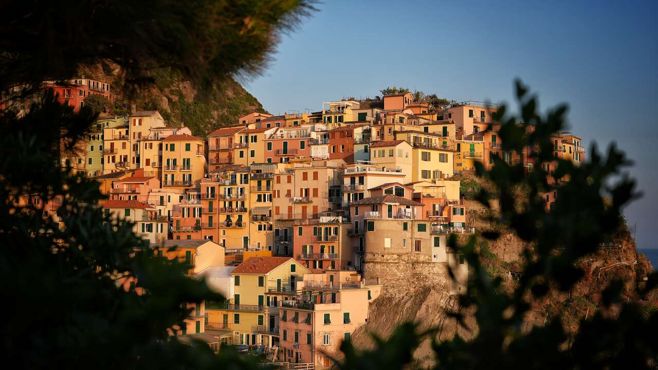 Manarola illuminé par la lumière du soir entre les pins