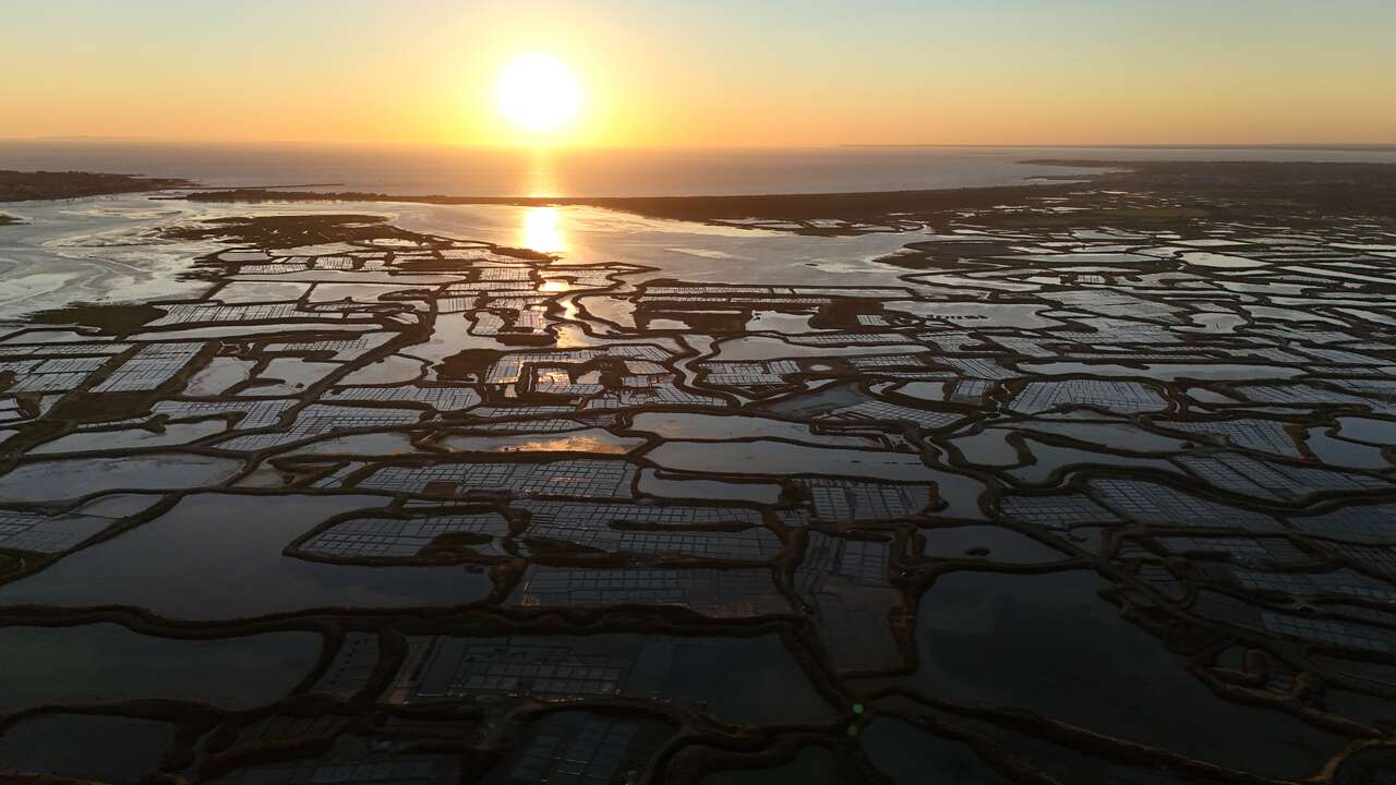 Marais salants de Guérande au coucher du soleil