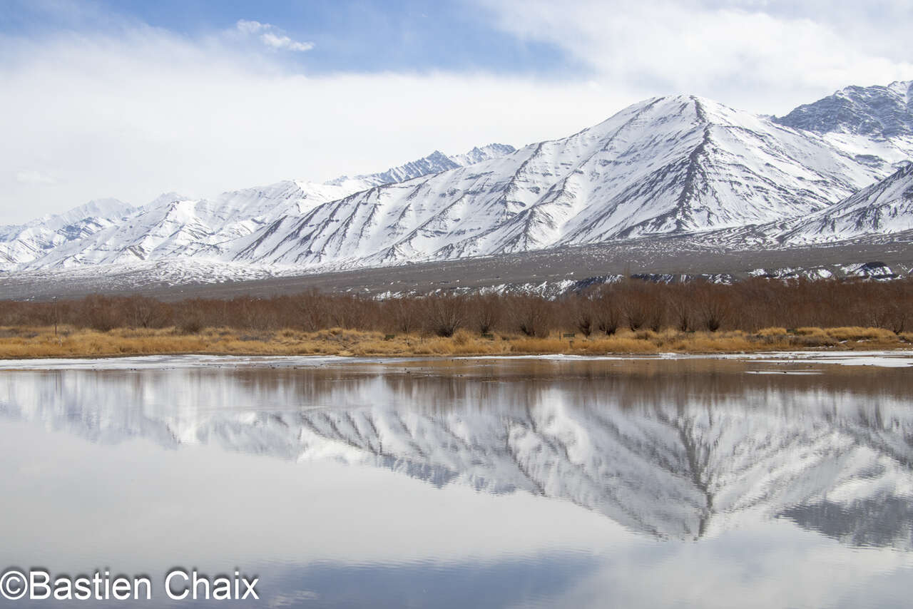Montagne se reflétant dans un lac en hiver au Ladakh photographiée lors d'un séjour Amarok Panthère des Neiges