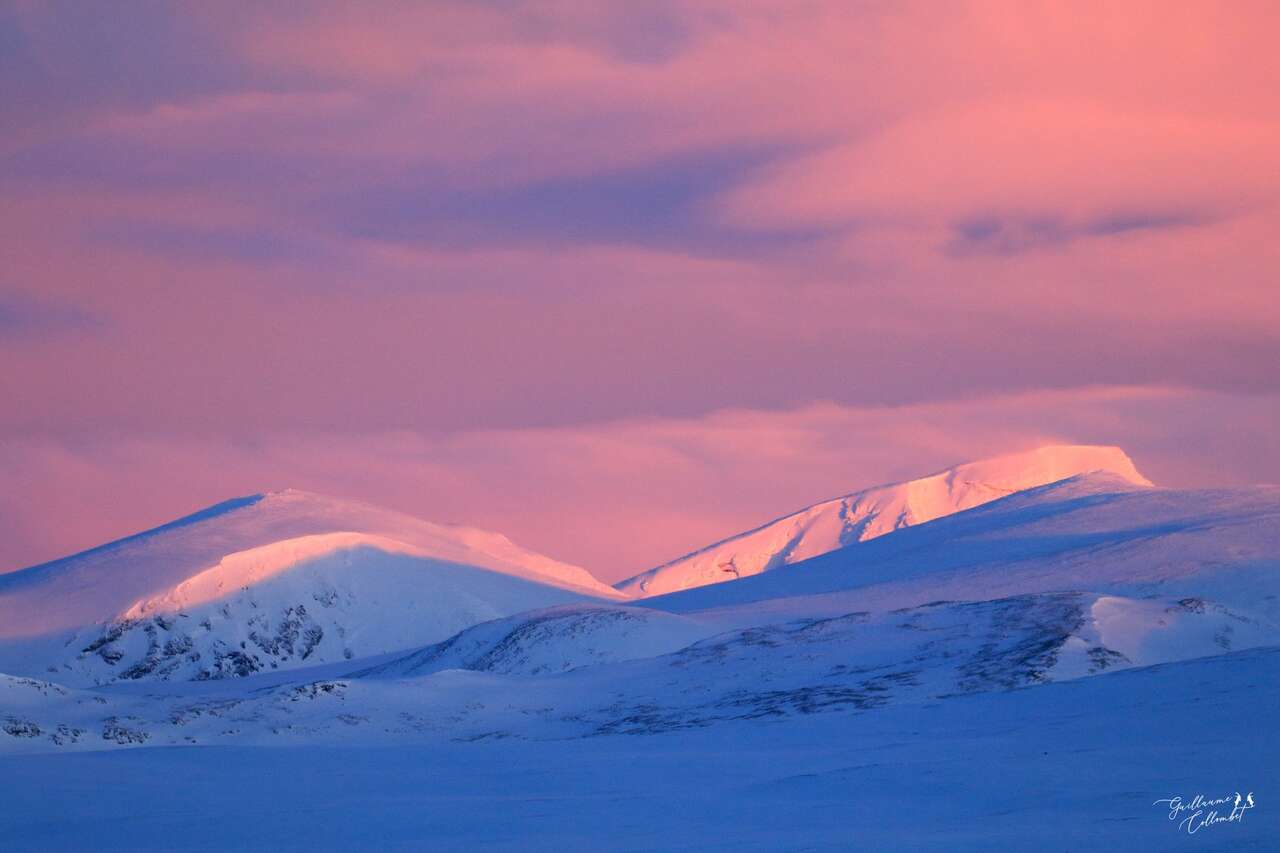 Montagnes enneigées baignées de lumière rosée au crépuscule, paysages arctiques du Dovrefjell en Norvège.