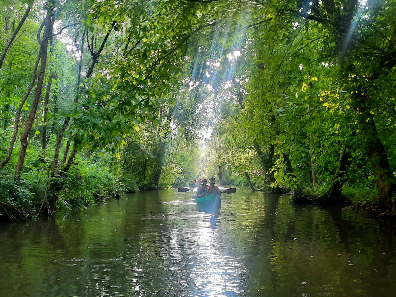 Navigation douce en canoë dans le marais poitevin