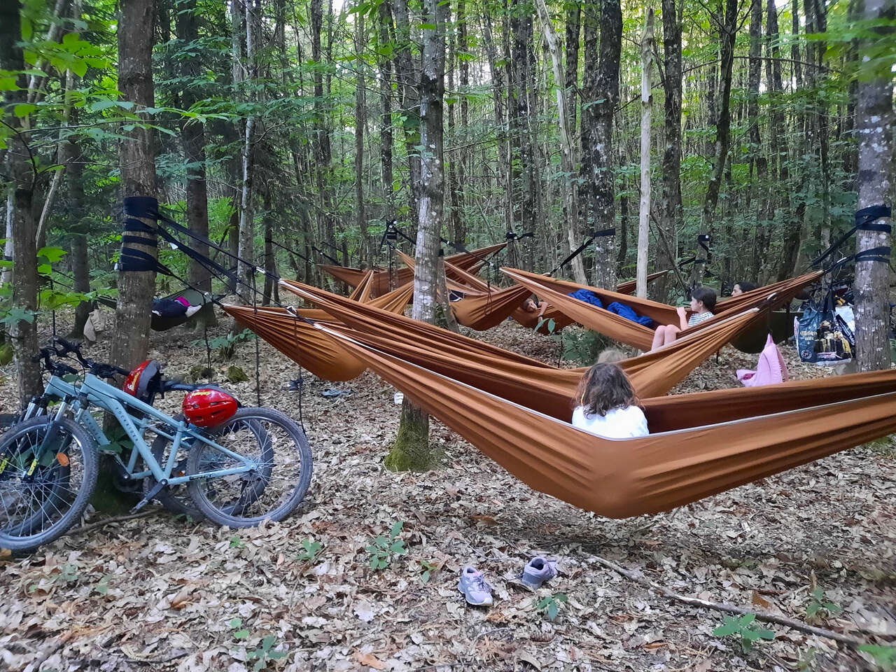 Nuit en hamacs suspendus en forêt lors d’un séjour nature dans le Marais poitevin