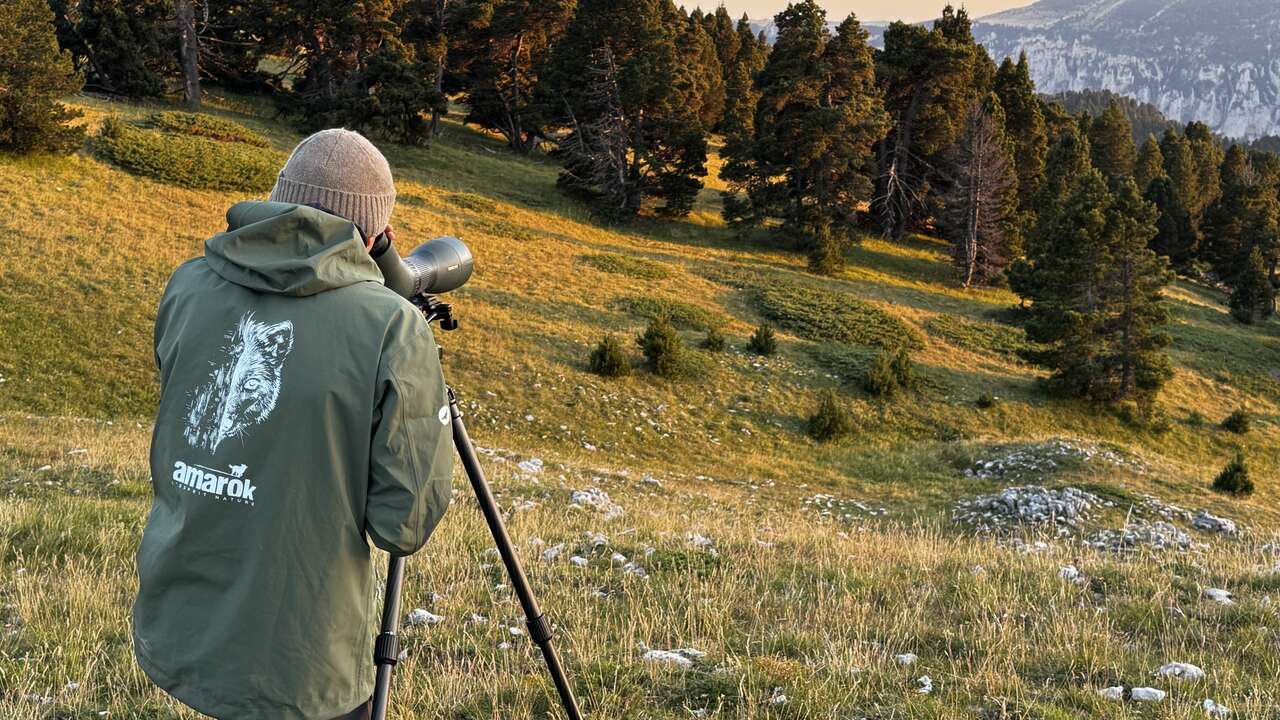 Observation de la faune sauvage à la longue-vue avec Amarok l'Esprit Nature dans le Vercors