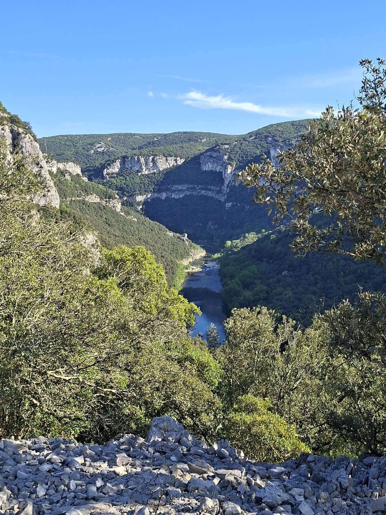 Panorama sauvage des gorges de l’Ardèche vues depuis les hauteurs