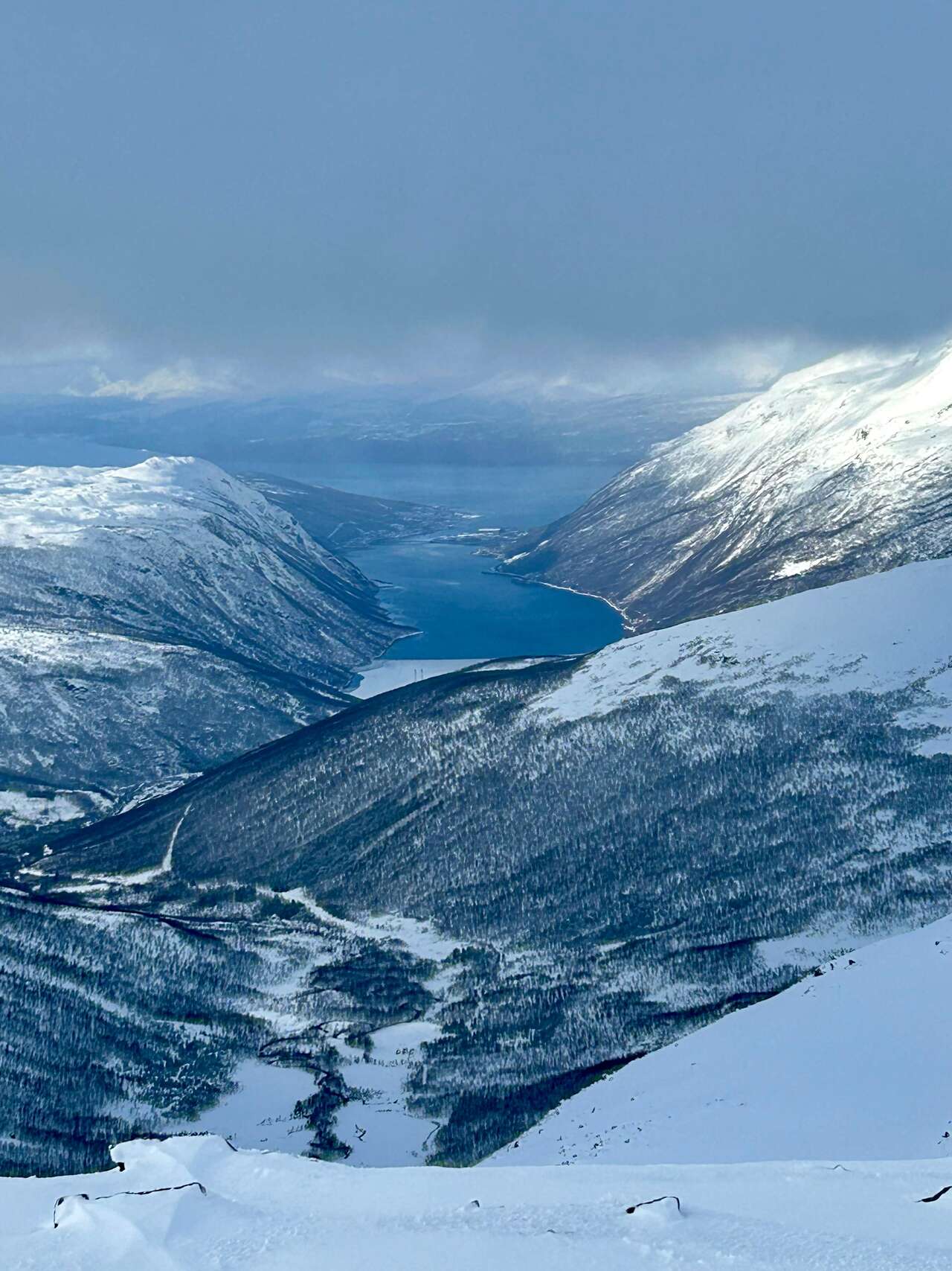 Panorama sur un fjord norvégien depuis les montagnes enneigées du Nordland