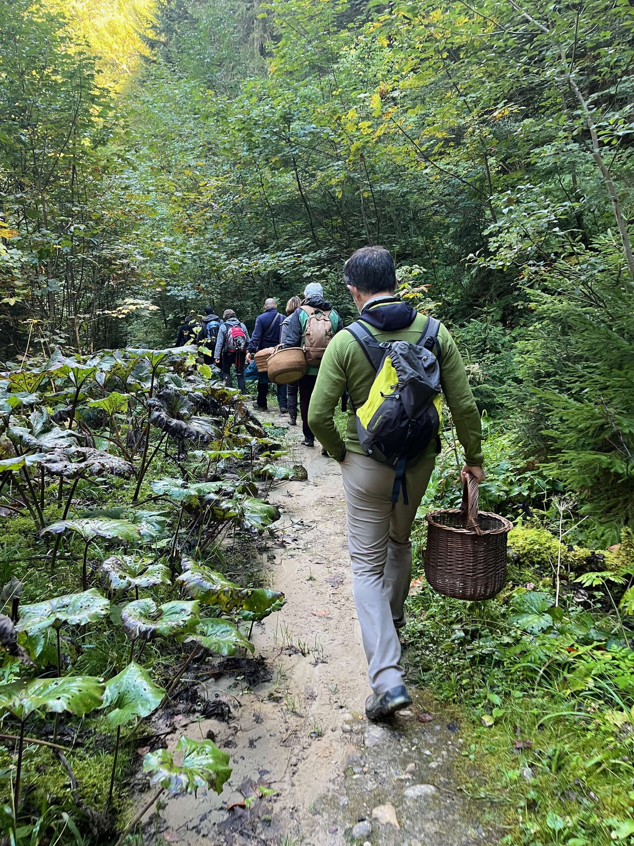participants en forêt lors d’une sortie mycologique Amarok l'Esprit Nature