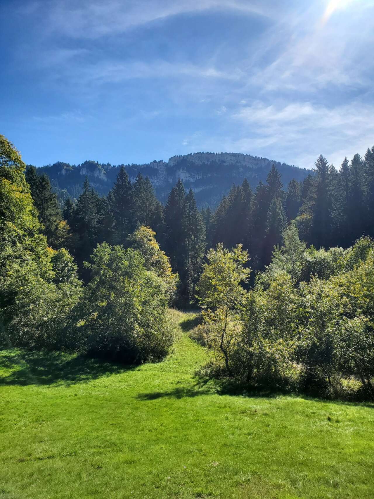 Paysage de montagne et forêt de conifères sous le soleil d’automne dans le Vercors