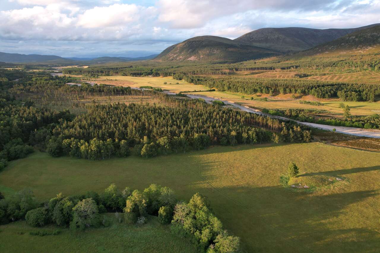 Paysage de montagnes, forêts et vallée dans les Cairngorms en Écosse