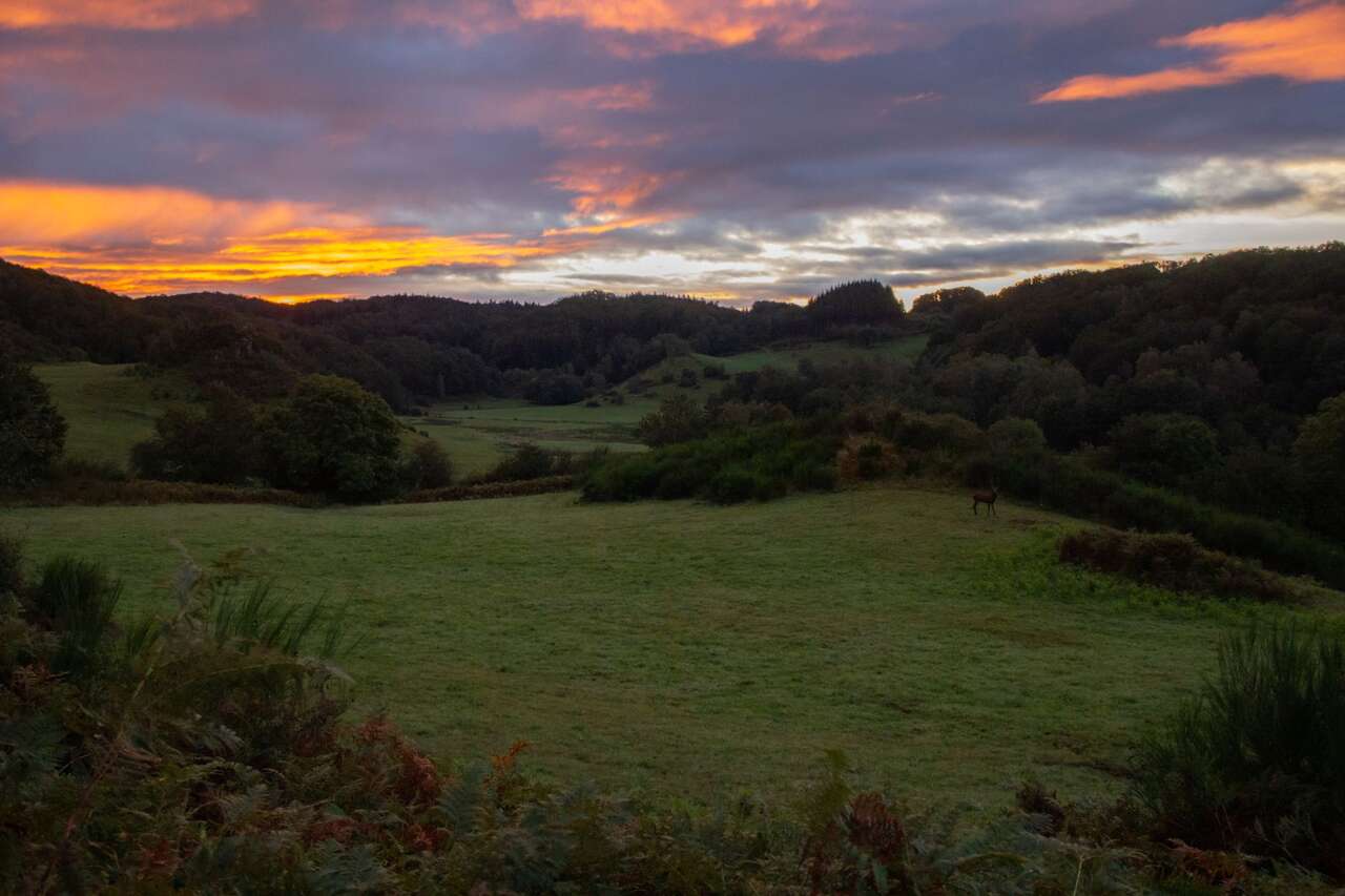 Paysage du Cantal au coucher du soleil pendant le brame du cerf