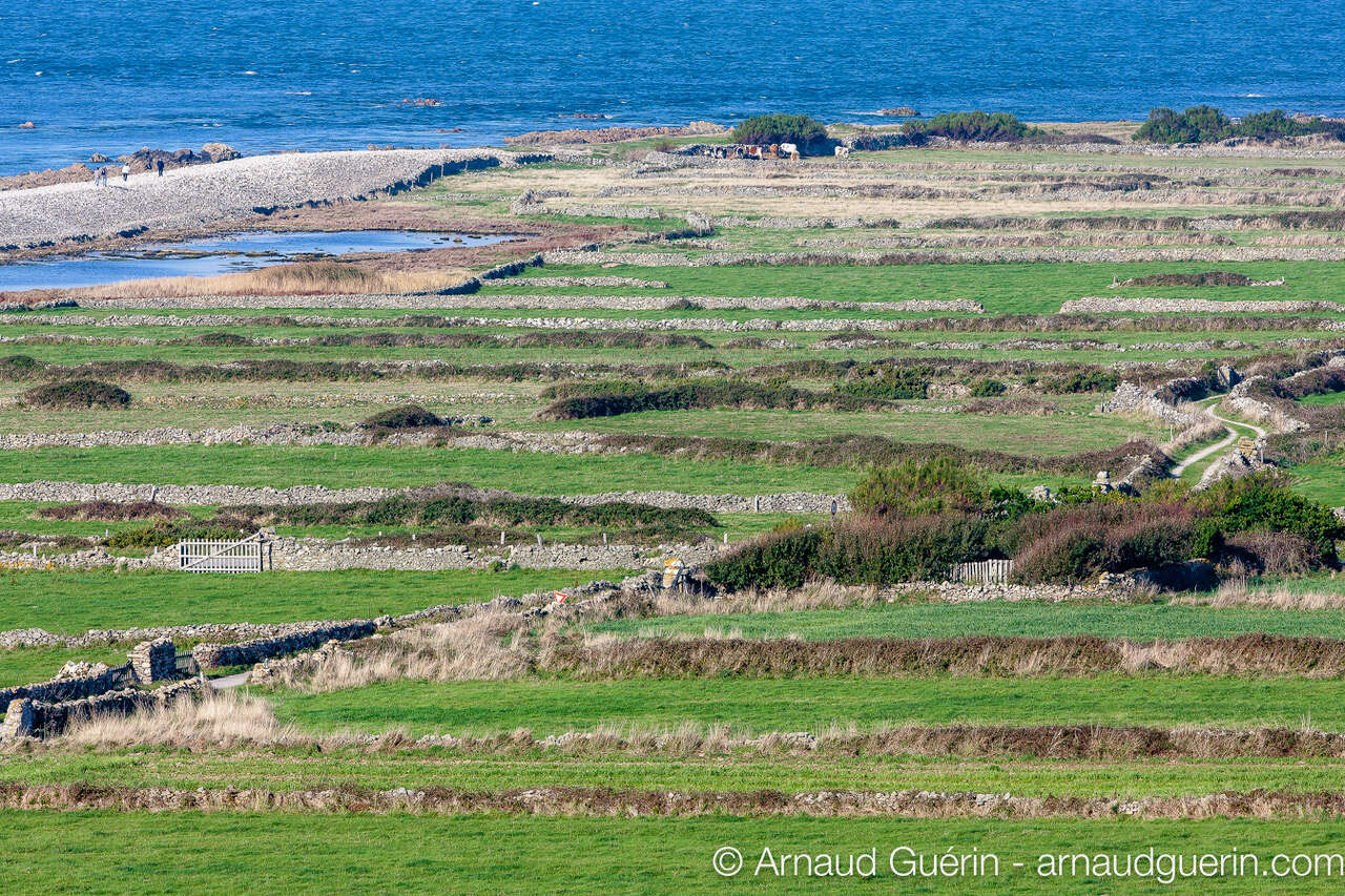 Paysage du Géoparc de la Hague dans le Cotentin - Séjour photo Amarok l'Esprit Nature