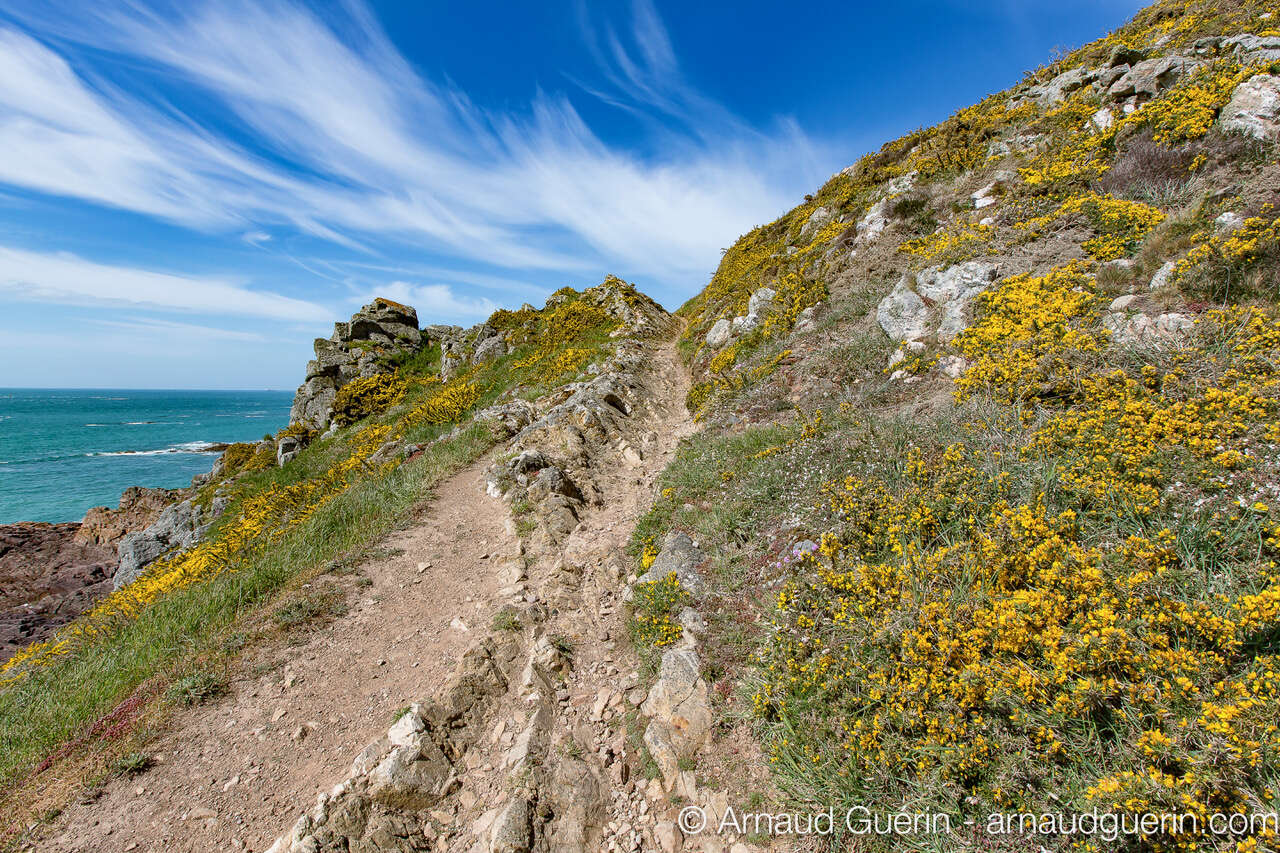 Paysage du Géoparc de la Hague dans le Cotentin - Séjour photo Amarok l'Esprit Nature