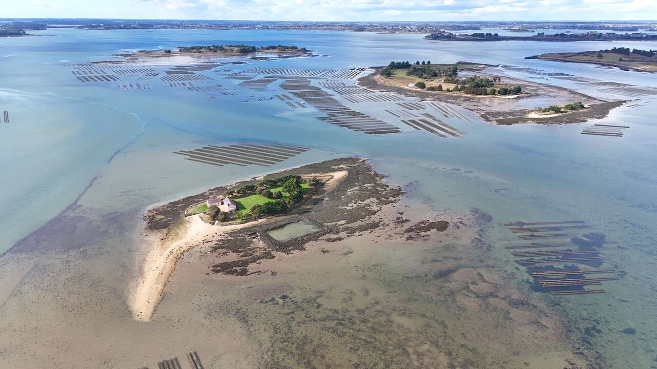 Paysage du golfe du Morbihan à marée basse