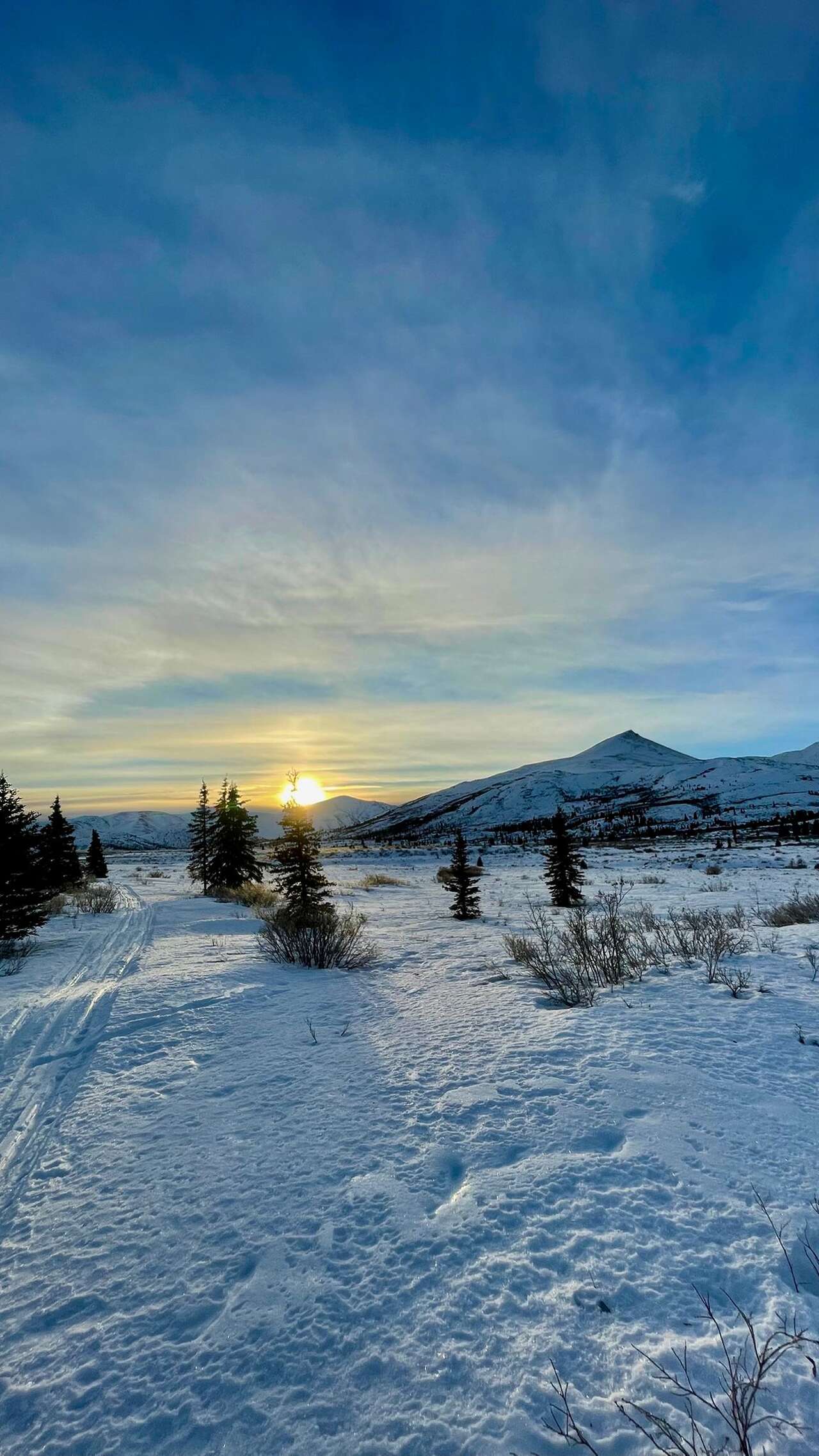 Paysage enneigé du Yukon