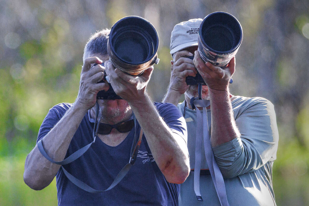 Photographes animaliers en Amazonie – voyage photo