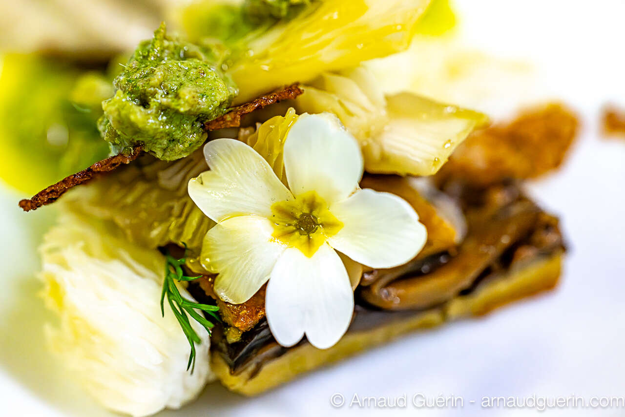 Plat gastronomique aux champignons avec fleur comestible, cuisine nature en Normandie
