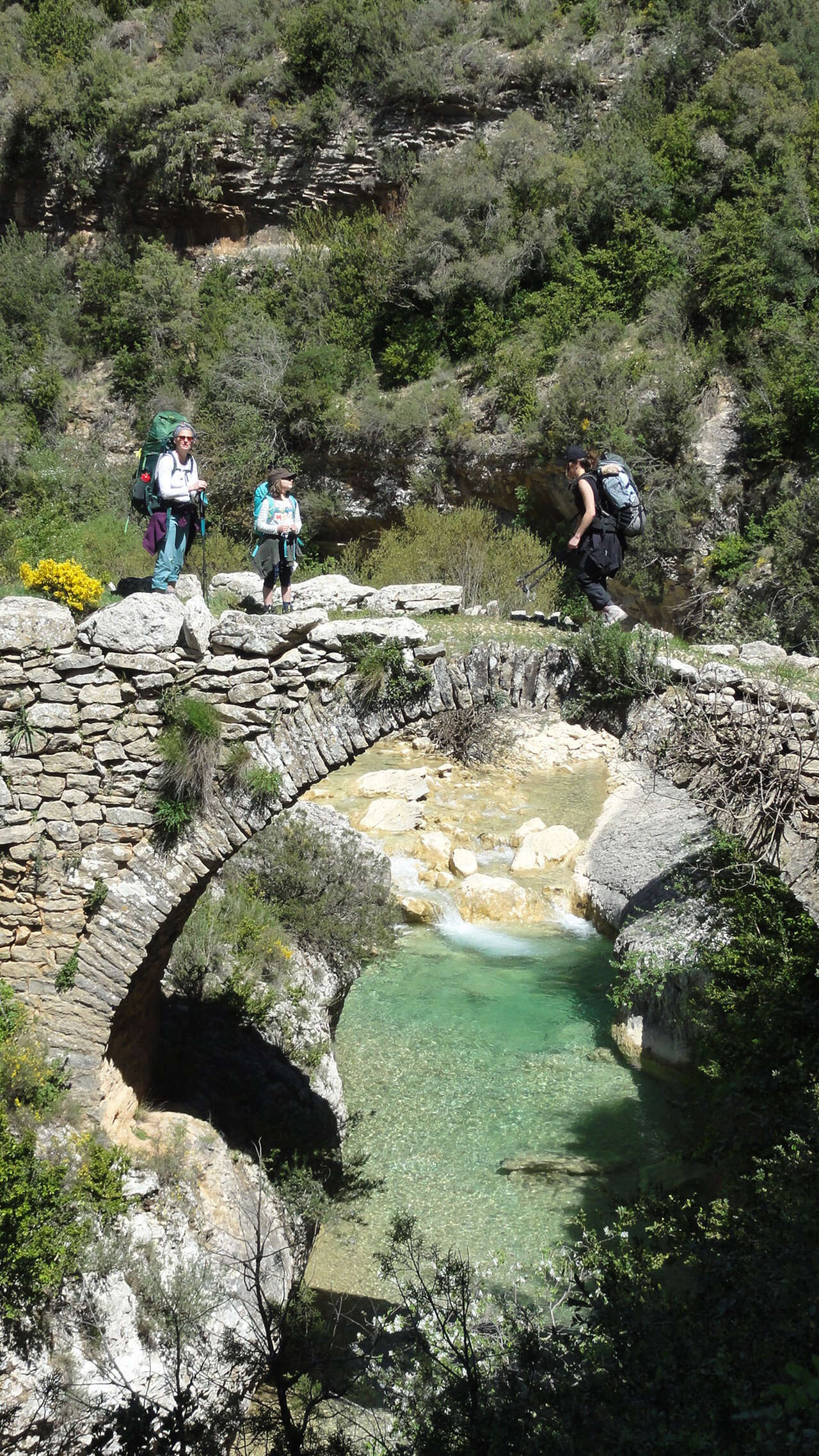 Pont romain au-dessus d'une rivière en Sierra de Guara