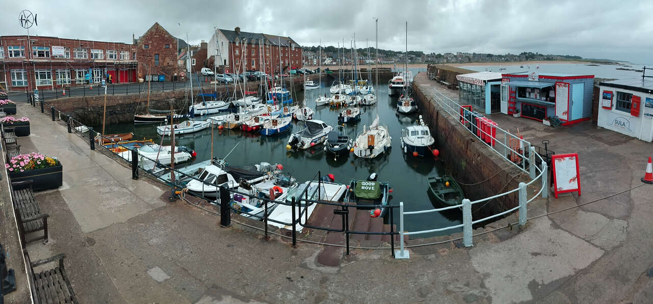 Port de North Berwick en Écosse, point de départ pour se rendre sur l'île de Bass Rock - Voyage photo Amarok l'Esprit Nature