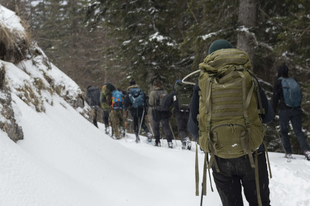 Randonnée en raquettes  à la recherche des chouettes dans le Vercors