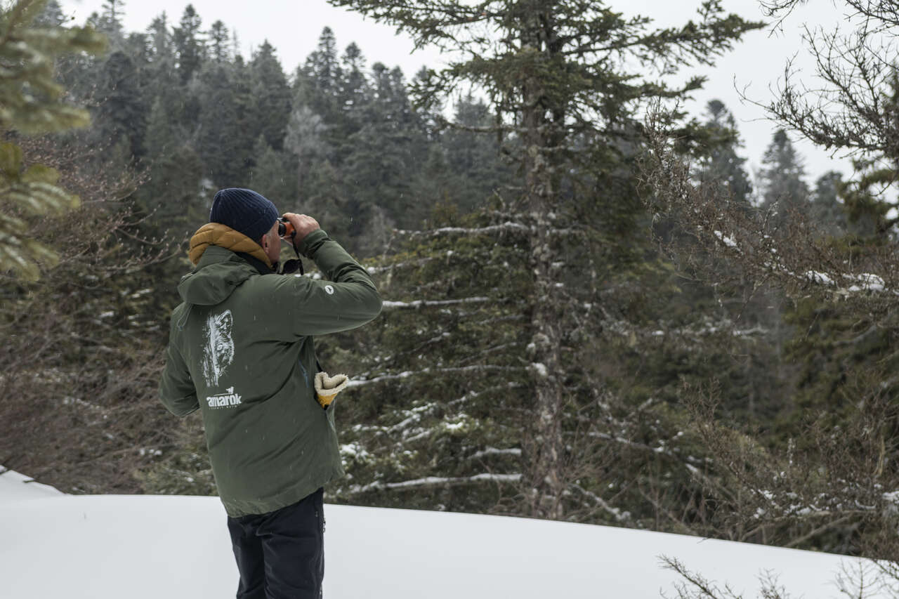 Régis Biron, écologue, observant la faune dans le Vercors en hiver lors d'un séjour Amarok l'Esprit Nature