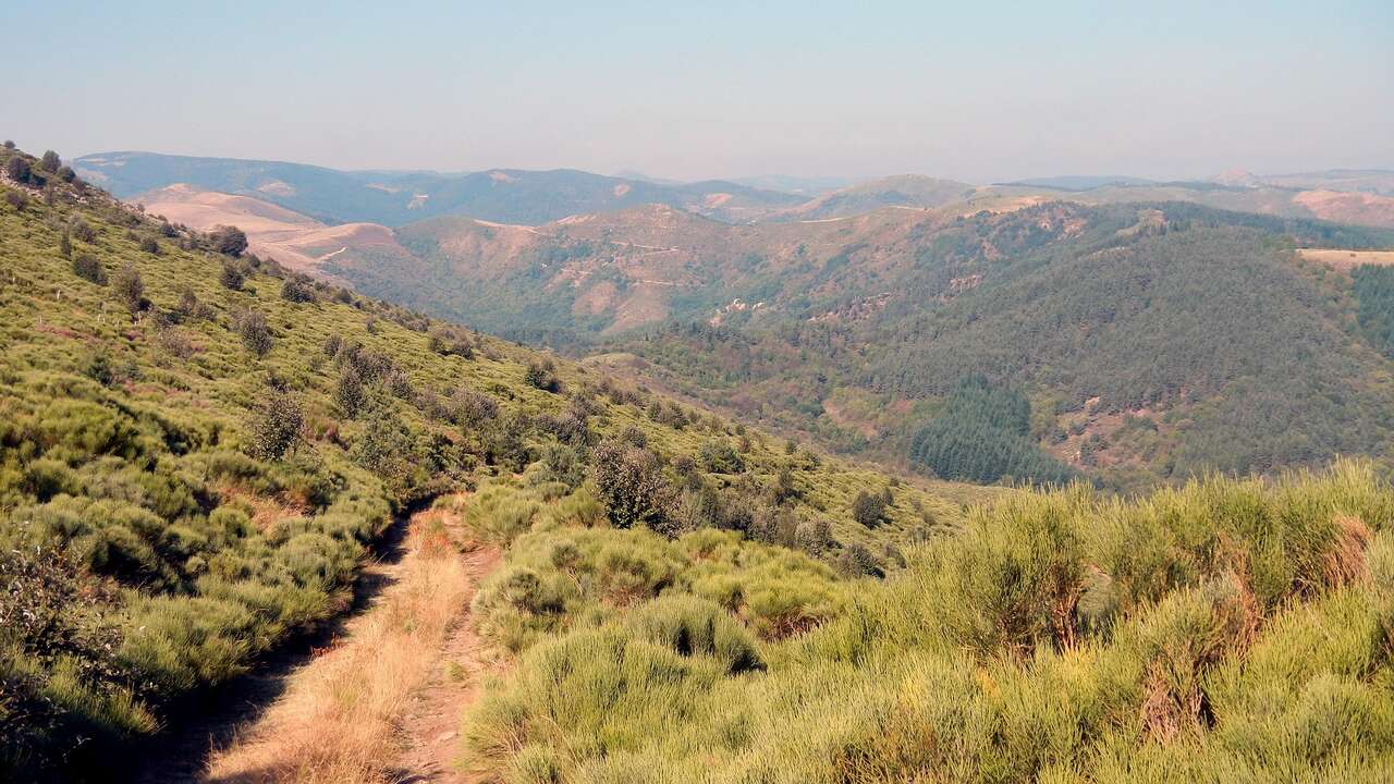 Sentier de randonnée traversant les landes à genêts sur les reliefs sauvages des montagnes ardéchoises
