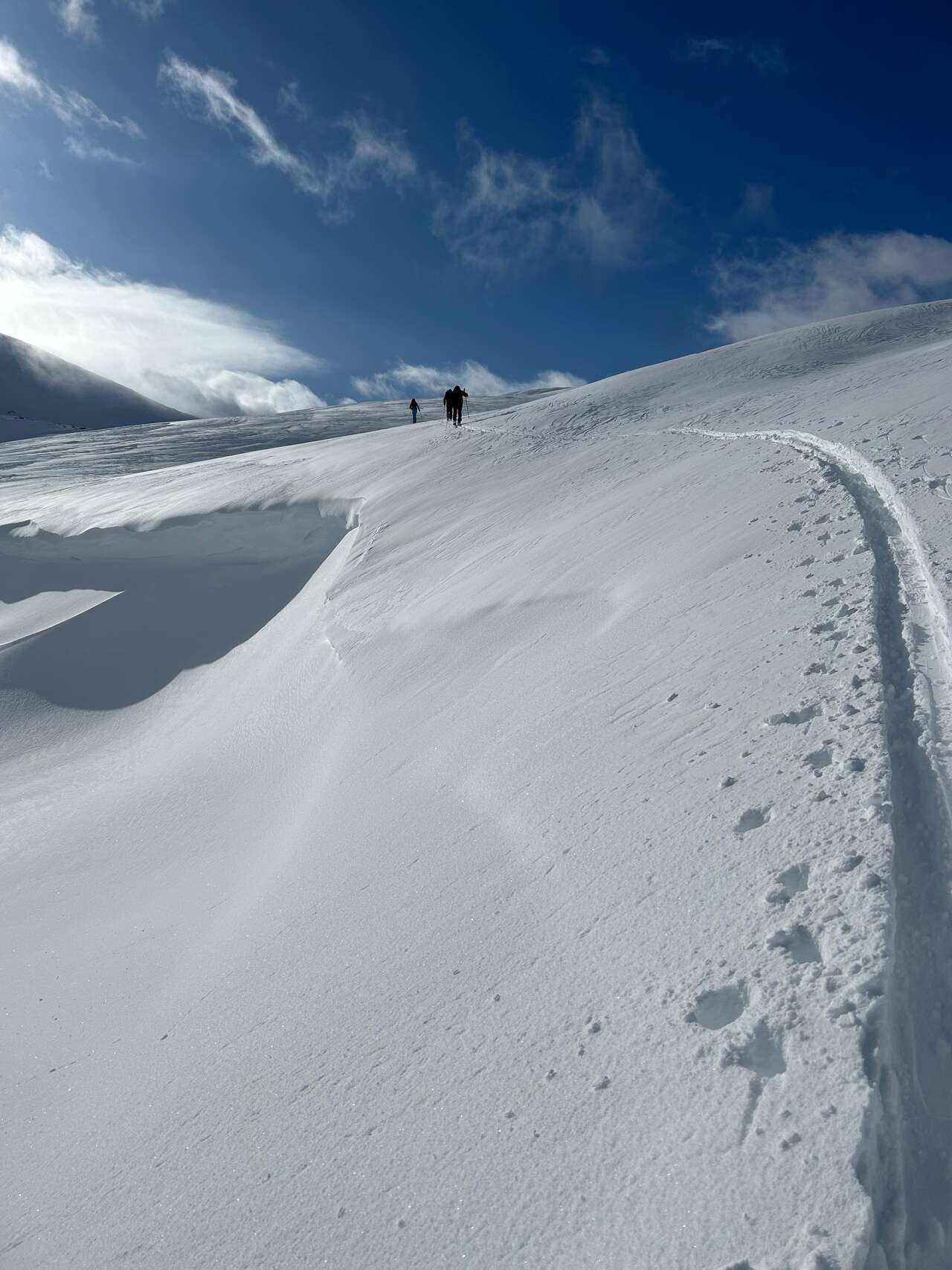 Ski de randonnée nordique sur un relief enneigé du Storstein en Norvège