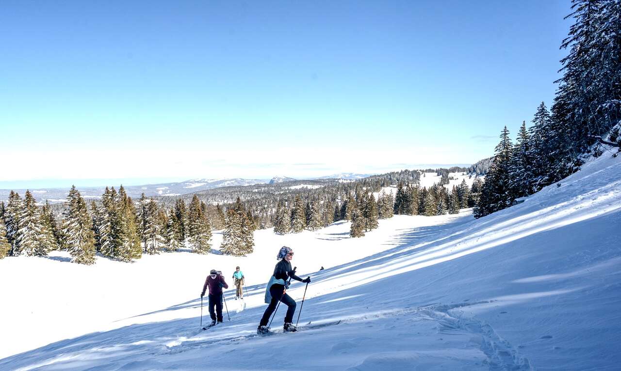 Ski nordique sur les crêtes du Jura suisse, panorama sur les Alpes enneigées