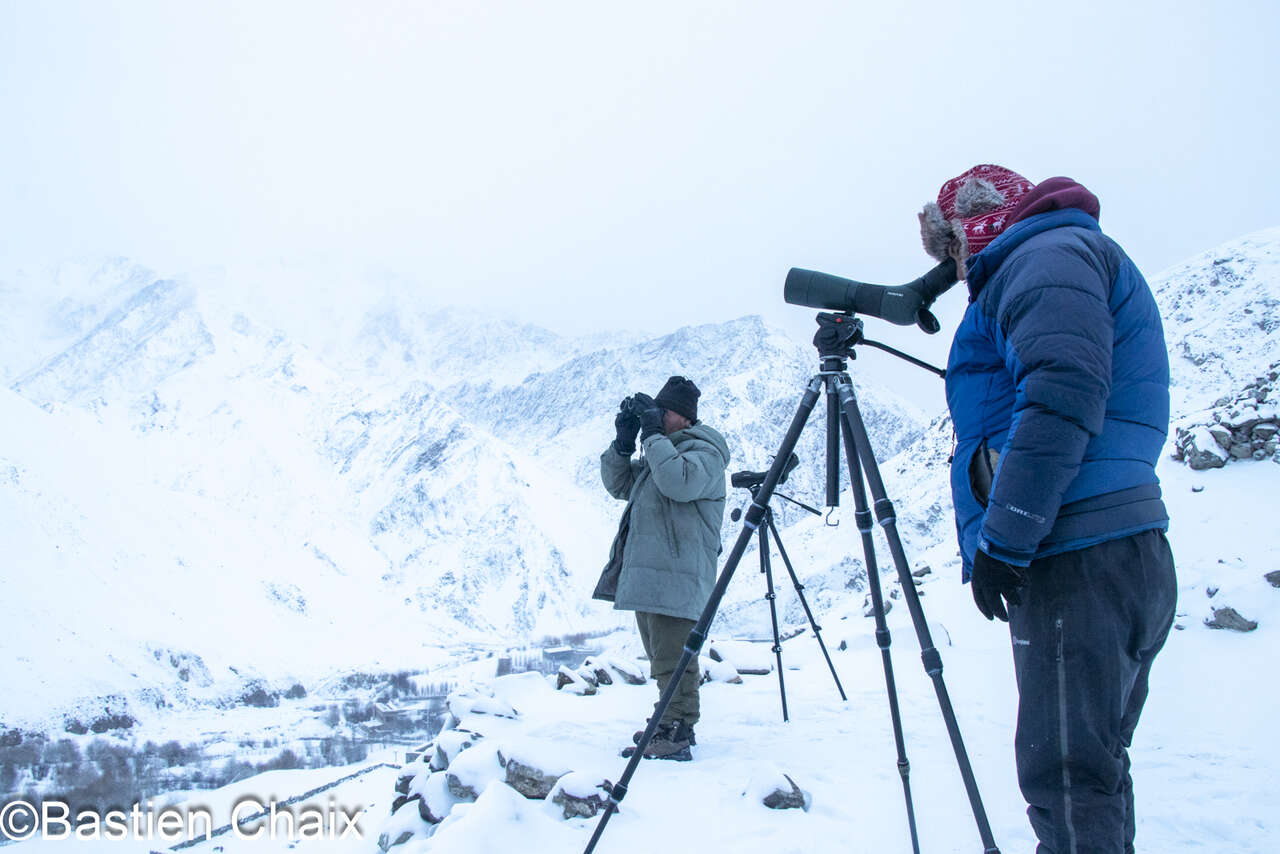 Spotters à la recherche de la panthère des neiges, village de Rumbak séjour Amarok au Ladakh