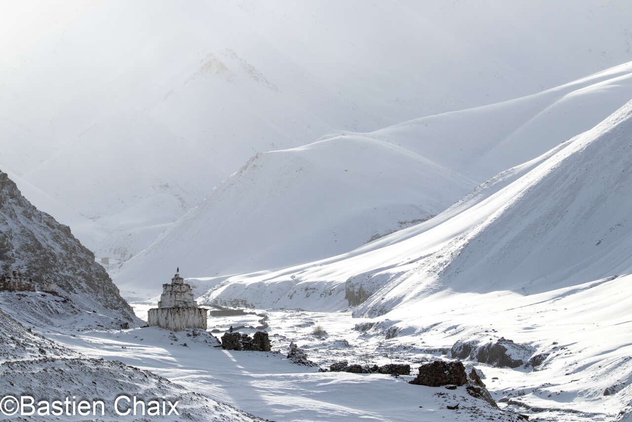 stupa en hiver a Rumbak séjour Amarok Panthère des Neiges au Ladakh