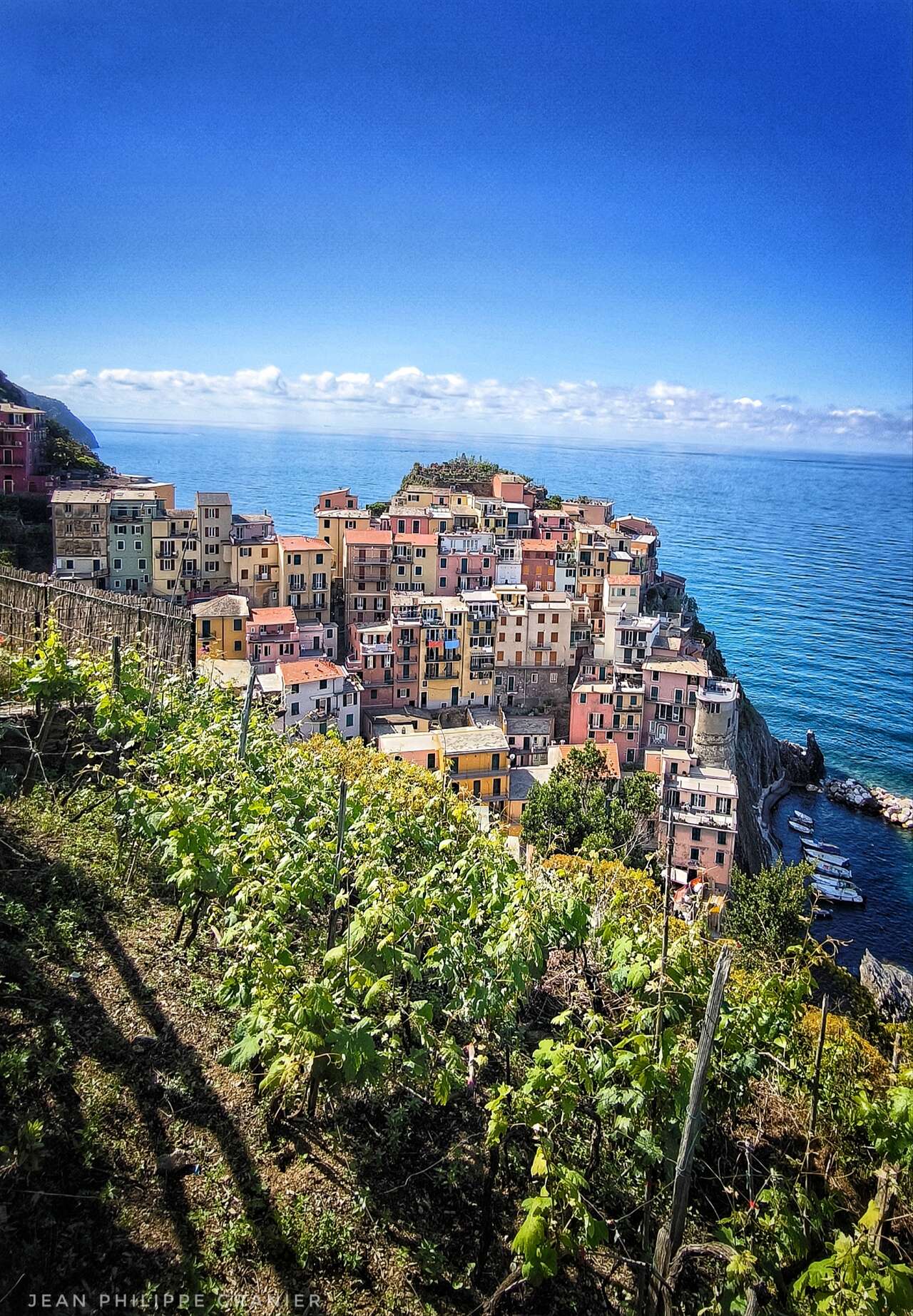 Vignobles dominant le village de Manarola dans les Cinque Terre