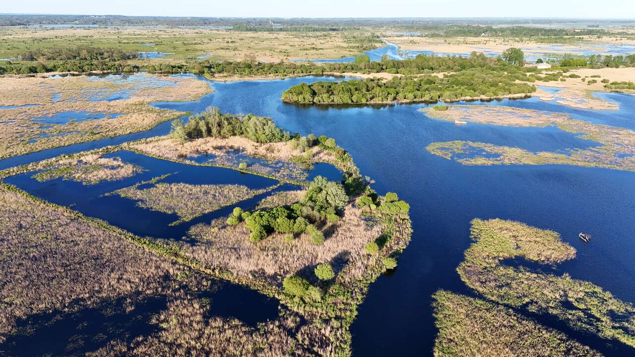 Vue aérienne des canaux et roselières du marais de Grande Brière