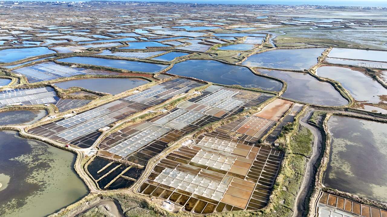 Vue aérienne des marais salants de Guérande en Loire-Atlantique