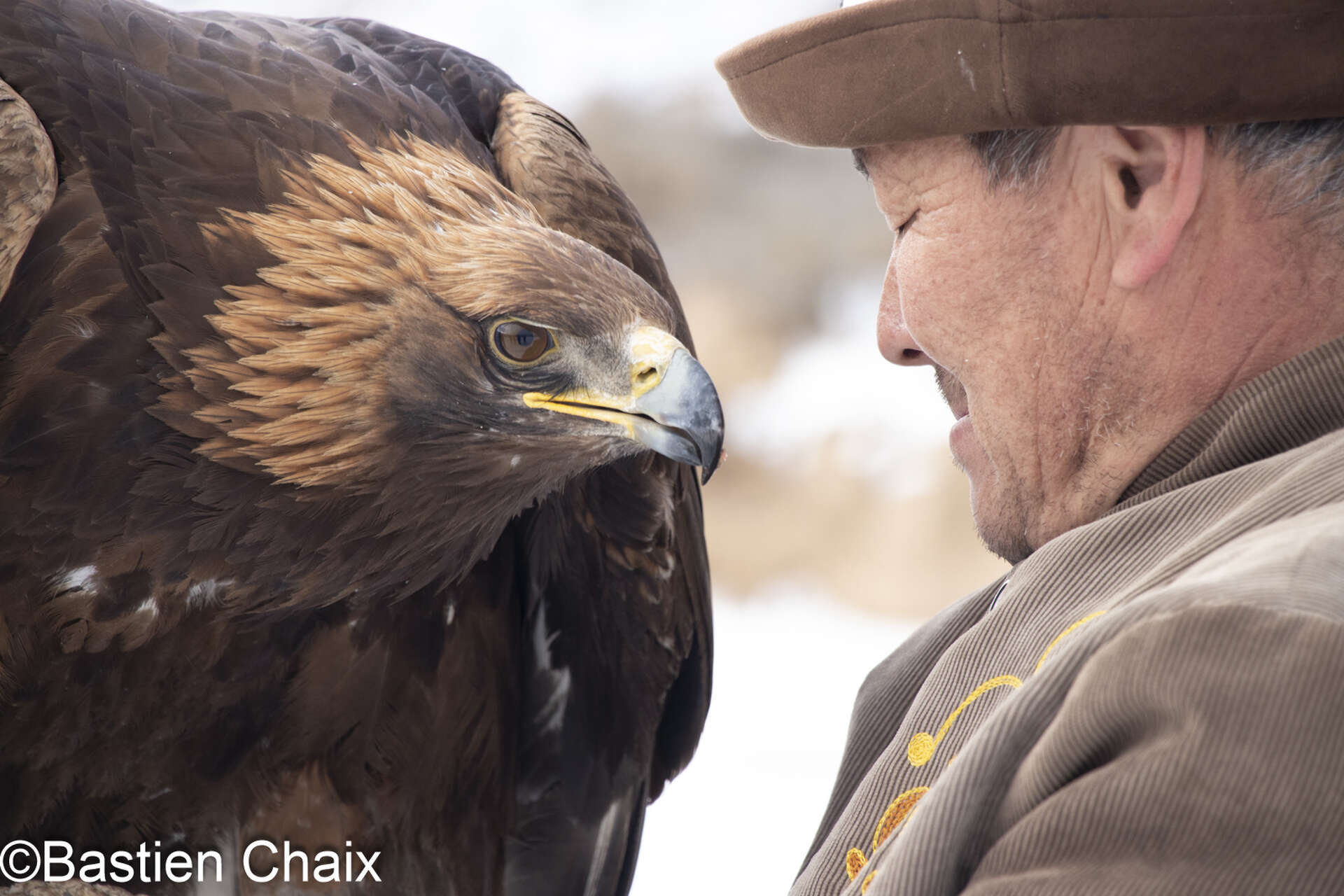 Aiglier et son aigle en Kirghizie - Voyage Amarok l'Esprit Nature