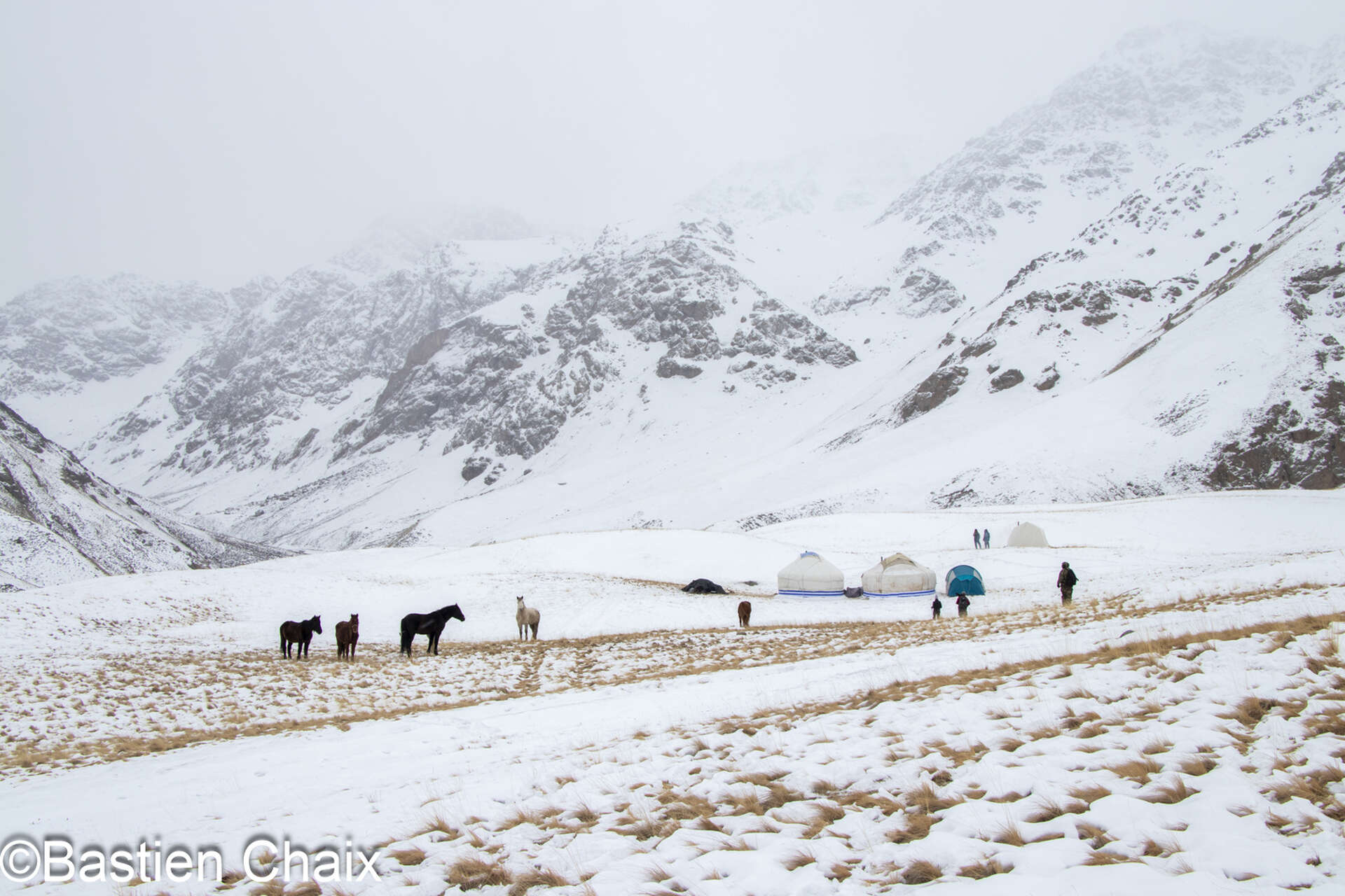 Yourtes et chevaux en hiver © Chaix Bastien Yourtes et chevaux en hiver en Kirghizie - Voyage Amarok l'Esprit Nature